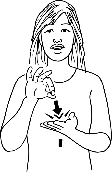 hen-6414-high_resolution.png - main