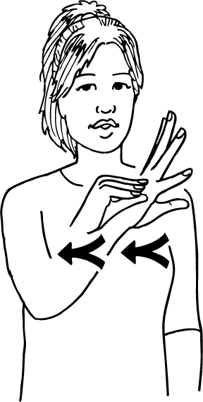 squid-6419-high_resolution.png - main