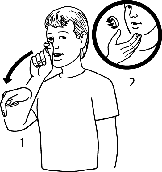 kiwifruit-6422-high_resolution.png - main