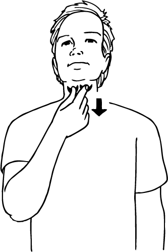 oesophagus-6439-high_resolution.png - main