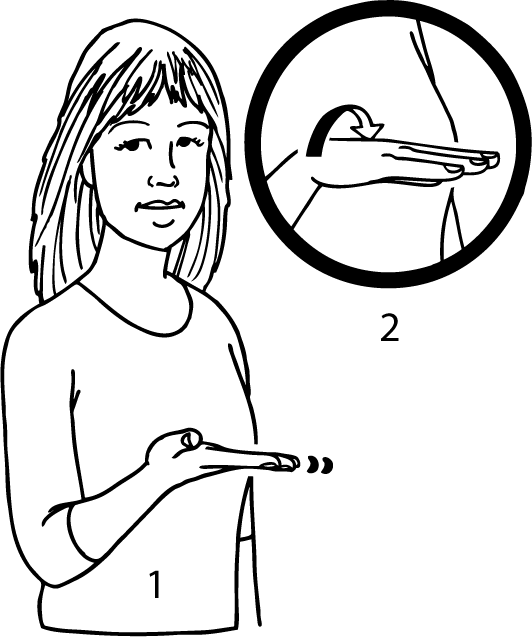 pancake-6441-high_resolution.png - main