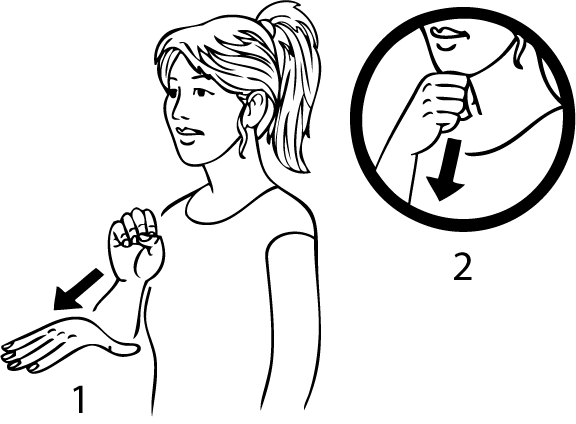 postman-6455-high_resolution.png - main