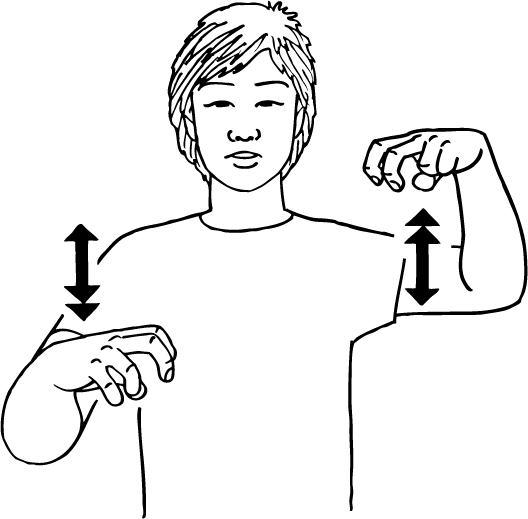 see_saw-6467-high_resolution.png - main