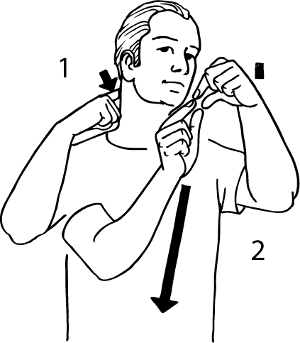 spine-6475-high_resolution.png - main