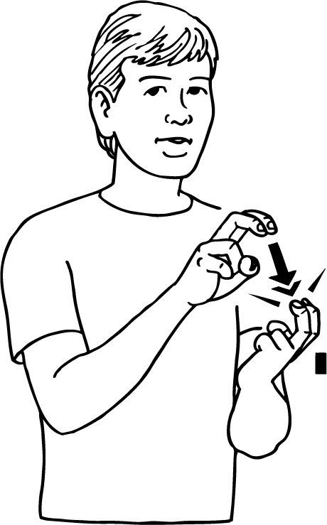 squirrel-6477-high_resolution.png - main