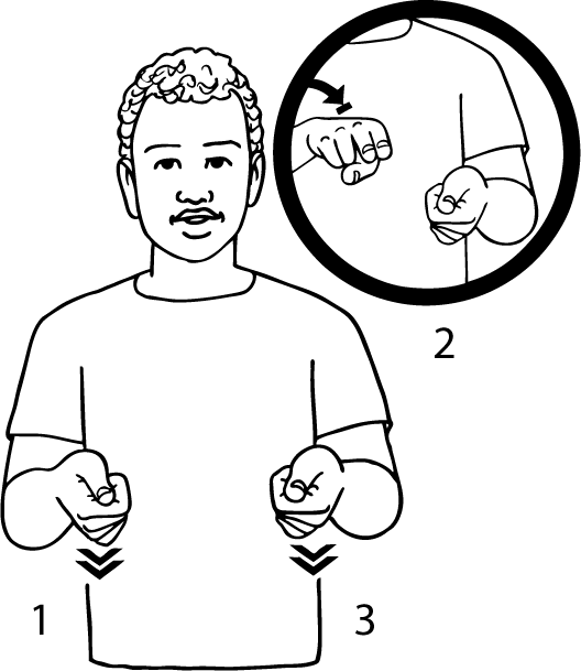 stretcher-6479-high_resolution.png - main