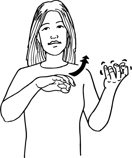 violin-6492-high_resolution.png - main