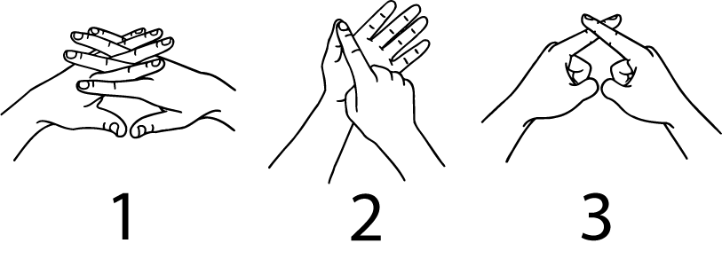 wax-6494-high_resolution.png - main