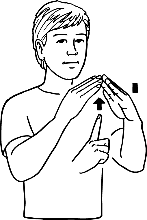 attic-6502-high_resolution.png - main