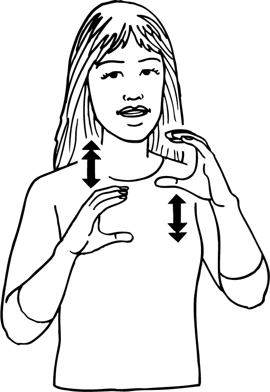 caravan-6505-high_resolution.png - main