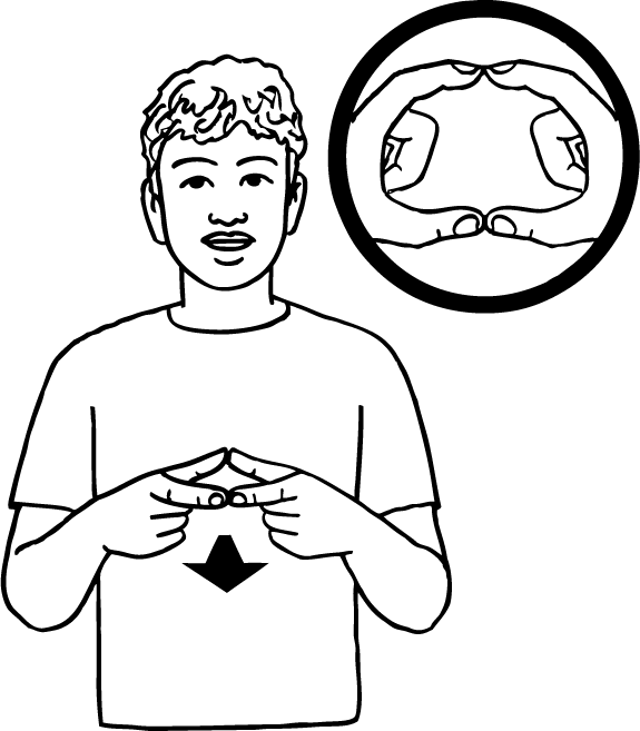 CD-6507-high_resolution.png - main