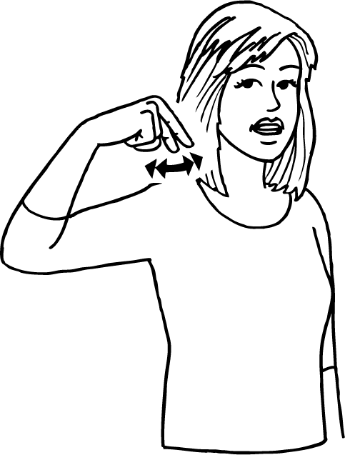 cherry-6508-high_resolution.png - main