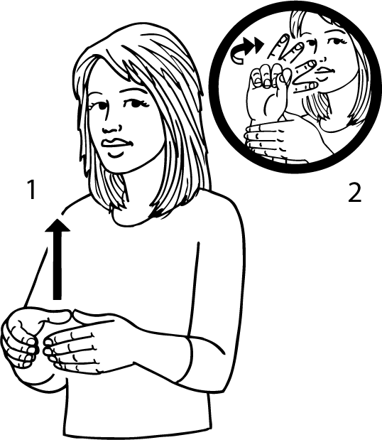 lighthouse-6521-high_resolution.png - main