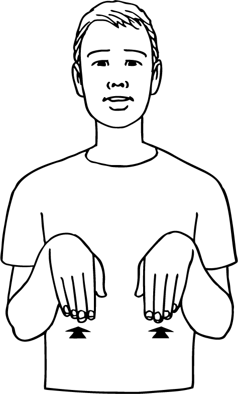 meerkat-6523-high_resolution.png - main