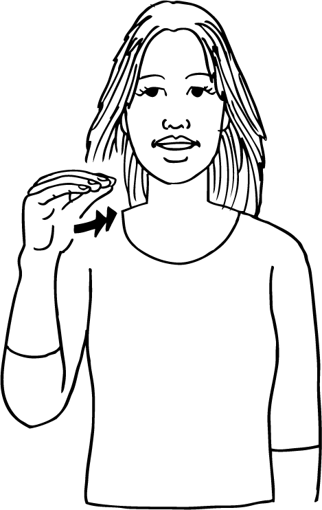 meerkat-6524-high_resolution.png - main