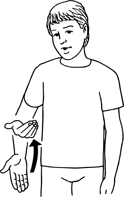 wipe_bottom-6536-high_resolution.png - main