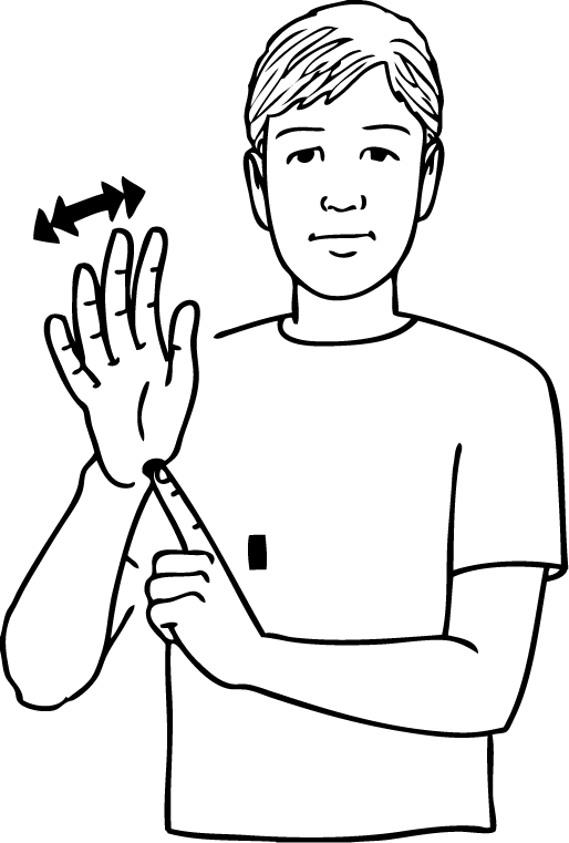 Palmerston_North-6556-high_resolution.png - main