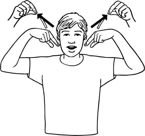 elf-6557-high_resolution.png - main