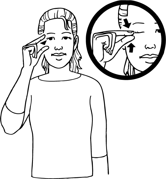 wink-6571-high_resolution.png - main