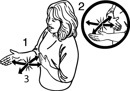 Matamata-6582-high_resolution.png - main