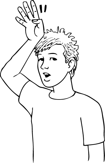 Albany-6585-high_resolution.png - main