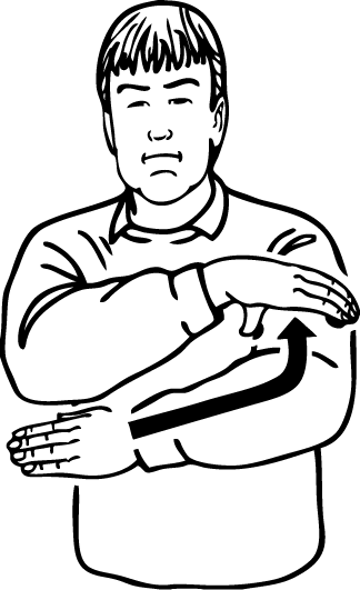 Coromandel-6599-high_resolution.png - main