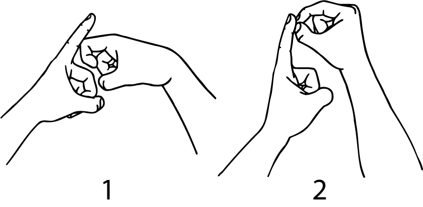 Kenepuru-6629-high_resolution.png - main