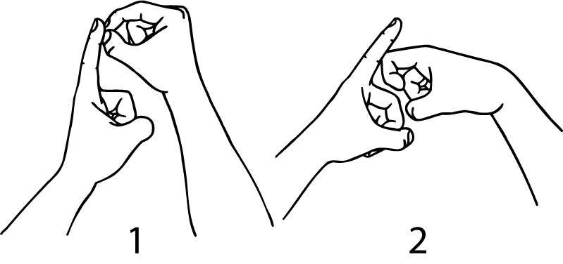 Pakuranga-6666-high_resolution.png - main