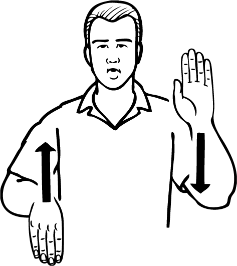 Pauanui-6671-high_resolution.png - main