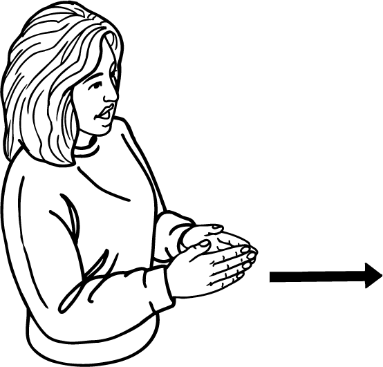 Port_Chalmers-6676-high_resolution.png - main