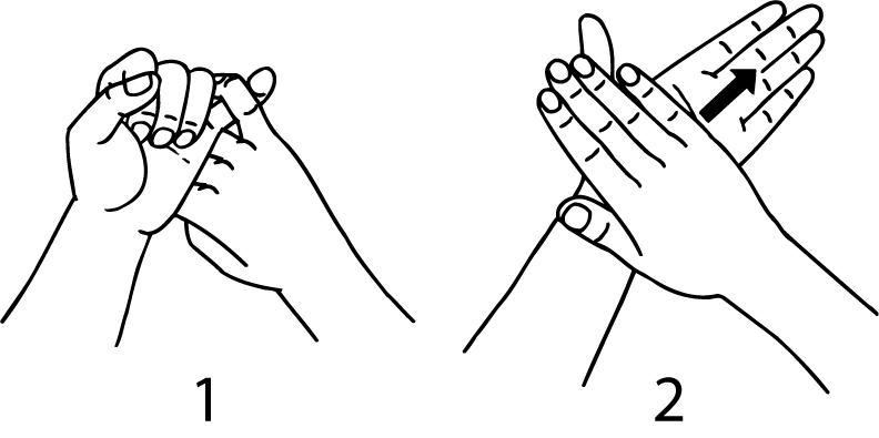 St_Heliers-6684-high_resolution.png - main