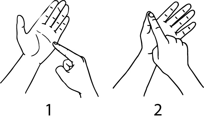 Te_Awanga-6702-high_resolution.png - main