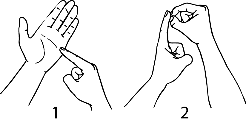 Te_Puke-6703-high_resolution.png - main