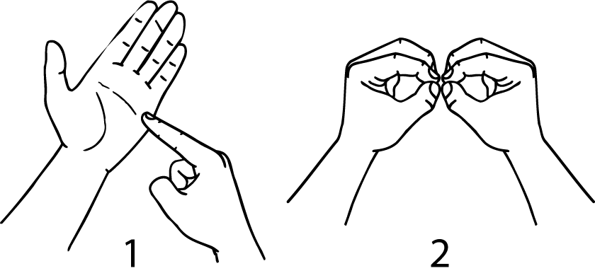 Tolaga_Bay-6709-high_resolution.png - main