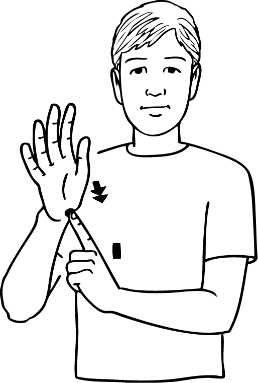 Warkworth-6723-high_resolution.png - main