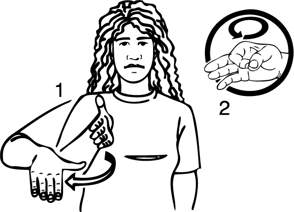 Bay_of_Islands-6769-high_resolution.png - main