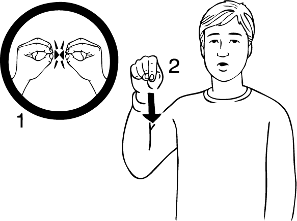 Botany_Downs-6774-high_resolution.png - main