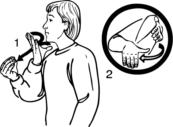 Browns_Bay-6776-high_resolution.png - main