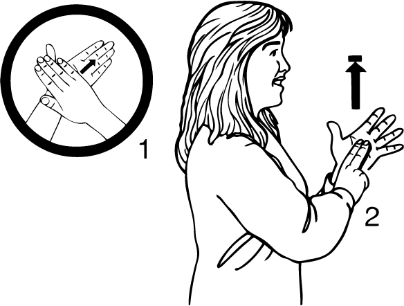 Havelock_North-6809-high_resolution.png - main