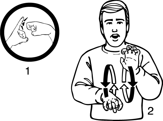 Kamo-6818-high_resolution.png - main