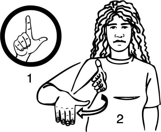 Lyall_Bay-6822-high_resolution.png - main