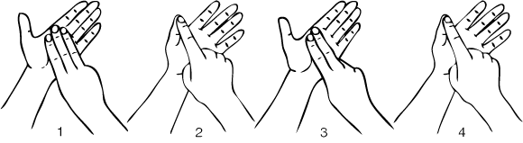 Mana-6823-high_resolution.png - main