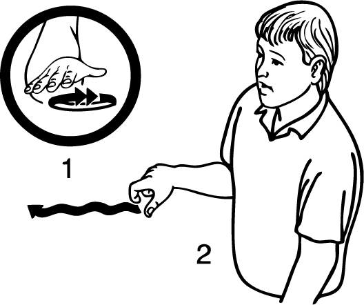 Manawatu_River-6826-high_resolution.png - main