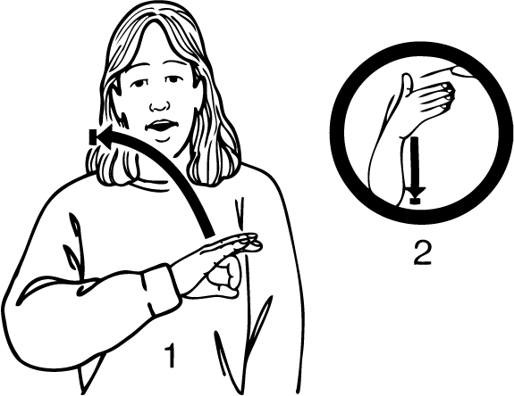 Morningside-6836-high_resolution.png - main