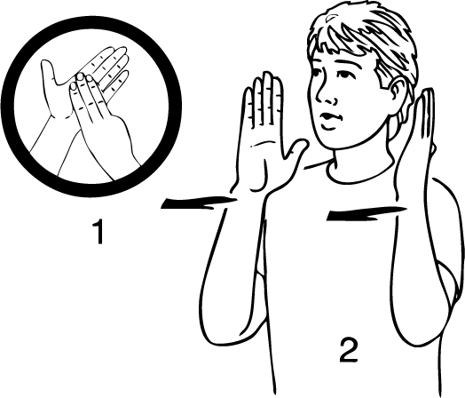 Murupara-6841-high_resolution.png - main