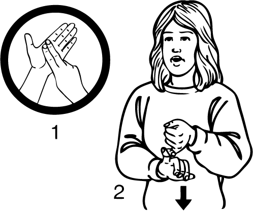 Napier_South-6842-high_resolution.png - main