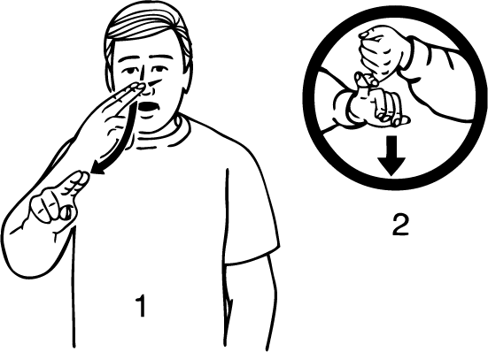 Nelson_South-6844-high_resolution.png - main