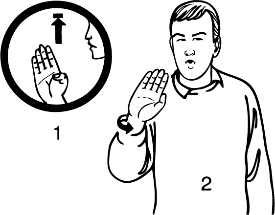 North_New_Brighton-6852-high_resolution.png - main