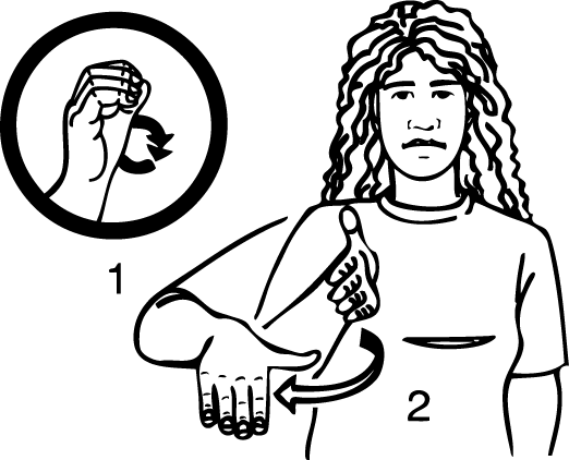 Oriental_Bay-6860-high_resolution.png - main