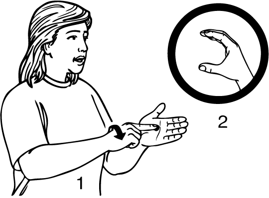 Point_Chevalier-6866-high_resolution.png - main